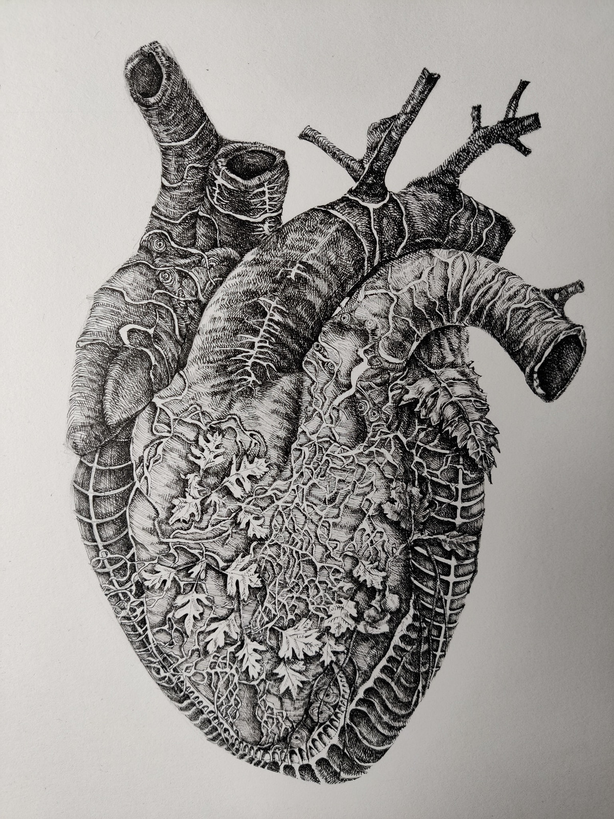 Heart of Nature – Anatomical Nature Ink Art | Neringa Zibaite