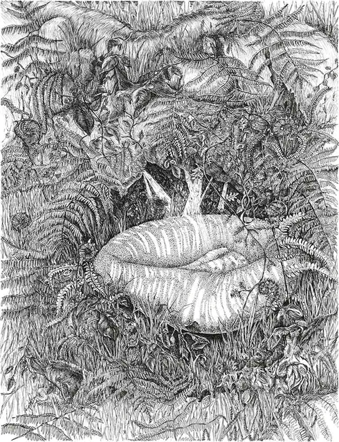 Garden surreal organic pen and ink nature artwork by Neringa Zibaite