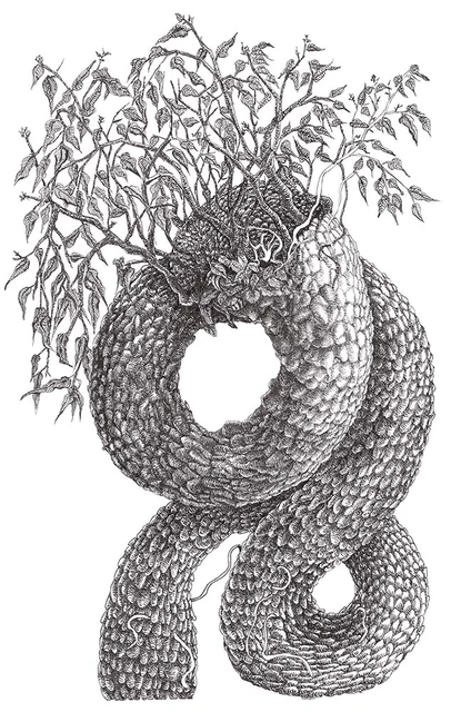 Growth detailed organic pen and ink drawing with crosshatching by Neringa Zibaite