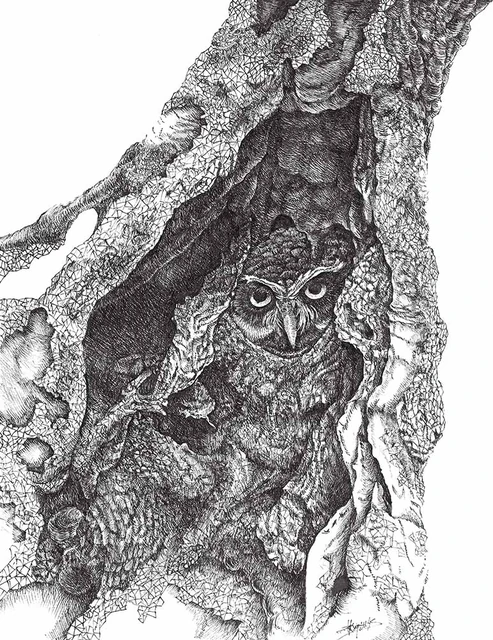 Owl in Disguise detailed owl pen and ink drawing by Neringa Zibaite